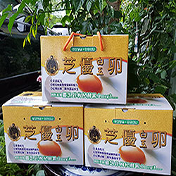 芝優白玉卵產品詢價 歡迎廠商大量訂購洽詢